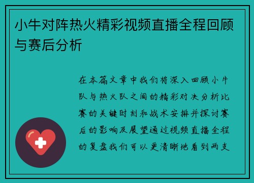 小牛对阵热火精彩视频直播全程回顾与赛后分析